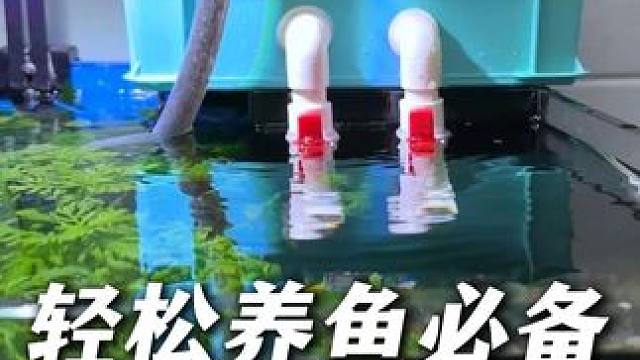 小缸大缸都能用的周转箱过滤，2层到5层周转箱可以自行叠加！ #周转箱 #周转箱过滤 #鱼缸周转箱过滤