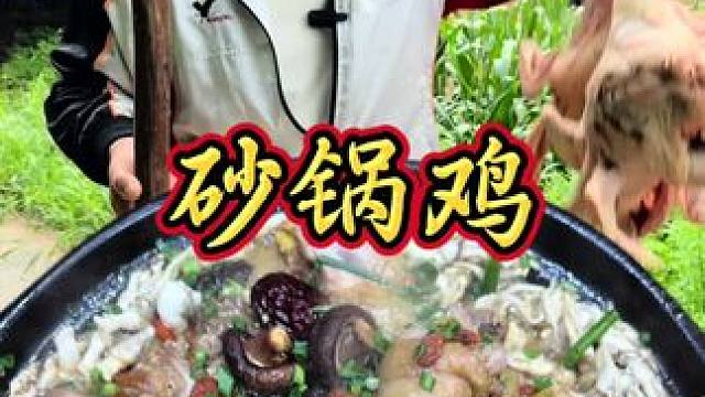 今天做一道粤菜砂锅鸡  口感香嫩丝滑 夏天的必备品 #地方特色美食 #农村生活 #农村美食 #乡村味