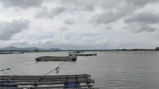 三丫围目标乌头 三点前没口，三点后呢？