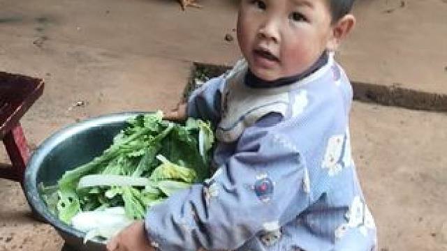 小双今天挺勤快的。#农村娃