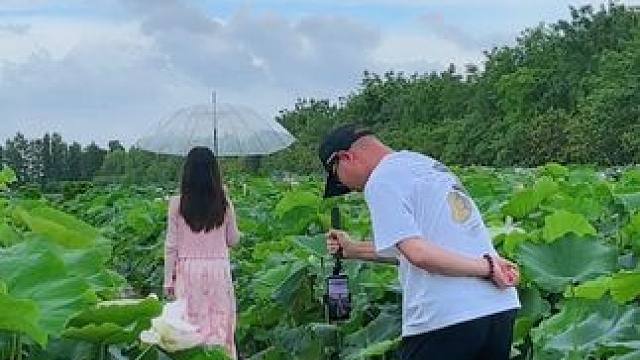 下雨天这样拍情绪感小短片太美了，简单易学又好看#手机摄影 #手机运镜#下雨天#荷塘美景
