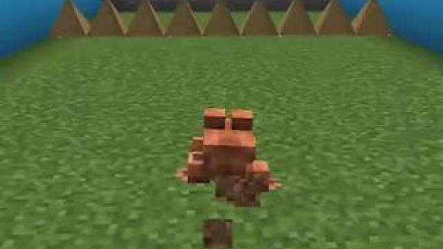 #我的世界 #Minecraft