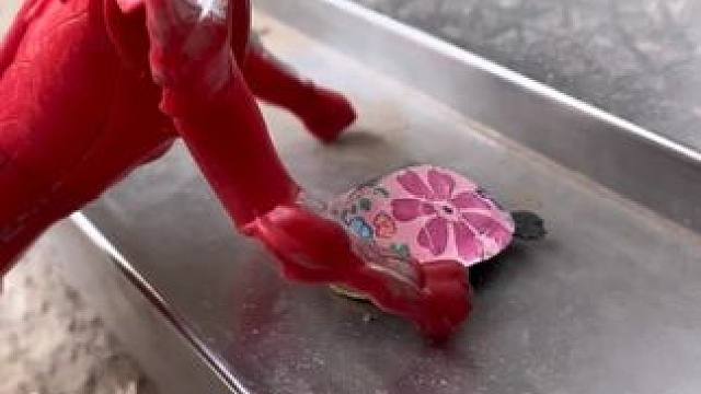 奥特曼的小乌龟生病了好像很严重#奥特曼 #奥特曼玩具 #爬宠 #小乌龟