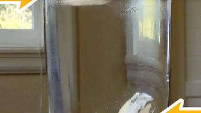 冰块竟然能沉入水底？“重水”和水有什么区别，人喝下它会怎样？ #科普#涨知识 #物理 #实验 #冰块