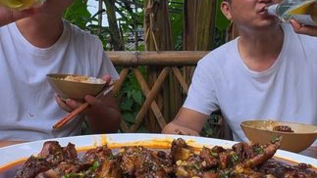 新农人计划2025~