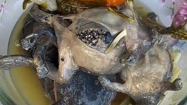 带蛋蛋蛙晒晒太阳☀️ #美食 #泰国美食 #户外美食 #内容启发搜索