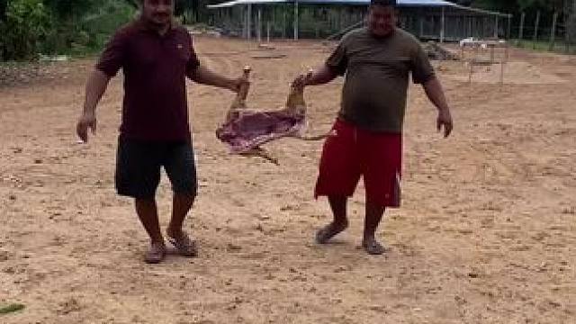 我发布了一个新视频，快来围观吧！