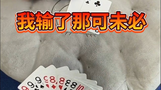 我输了那可未必