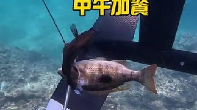 小试牛刀biubiu两枪
#海王三亚分王 #JetWave #打鱼摸虾