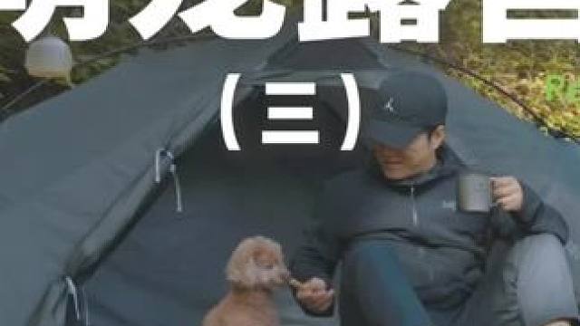 萌宠露营（三）带着狗子去露营~#露营 #助眠 #解压 #萌宠 #户外露营