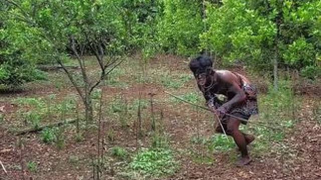 嘟嘟来了 #我的乡村生活 #玩得开心就好 #保护动物人人有责