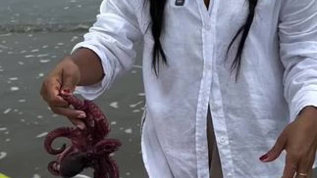 户外野餐 #我的乡村生活 #原创视频 #太好吃了 #爱生活爱种植 #我是新农人