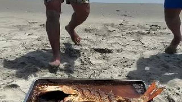 户外野炊 #我的乡村生活 #原创视频 #日常生活 #记录旅行时光