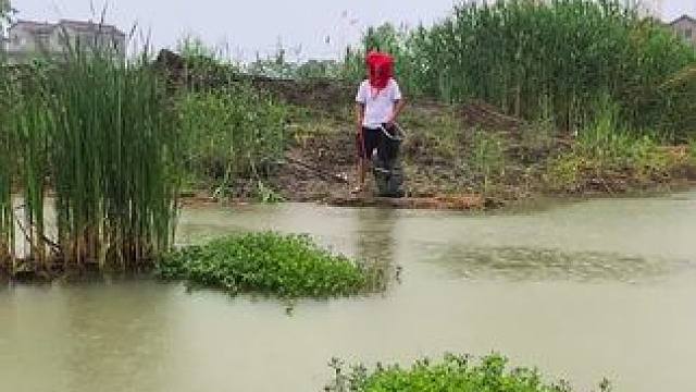 不钓不可以吗？#钓鱼的乐趣只有钓鱼人懂 #钓鱼人就是这么疯狂 #钓鱼人