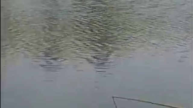 野钓时正确选择浮漂