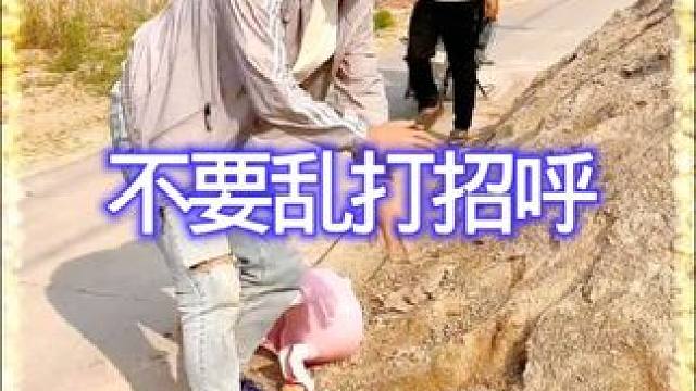 乱打招呼的后果！ #搞笑视频 #专治不开心 #万万没想到 #看一遍笑一遍 #开心一刻