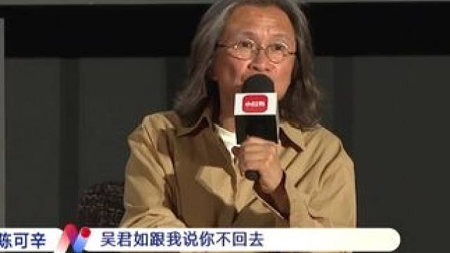 陈可辛拍《投名状》拍到崩溃逃港，“三个男人比三个女人还难搞！”全靠吴君如这句劝，才成就影史经典！#陈