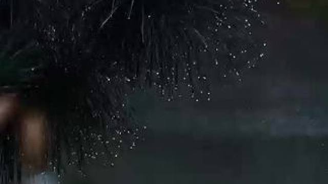 #❤️‍累了就来这里！雨后茶林、松雾缭绕、鱼儿相伴，茶灵谷度假区住宿治愈所有不开心～