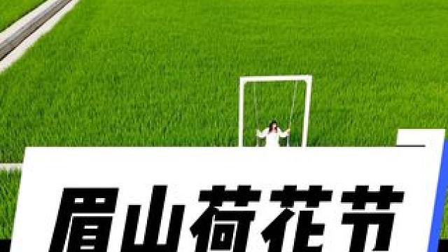 眉山荷花节开始了#荷花节#眉山荷花节#荷花 #眉山龚村#荷花摄影