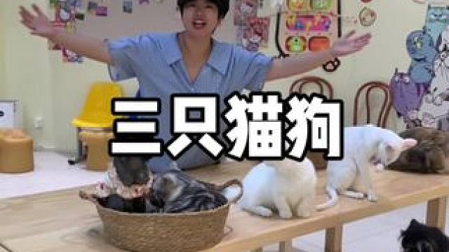 这里的萌宠太可爱了 #动物 #萌宠 #萌宠出道计划 #vlog日常 #亲子互动