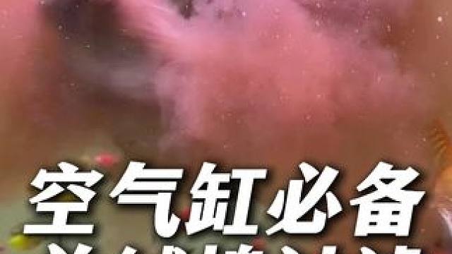 手撕羊绒棉，空气缸必备！整整一大包不用反复冲洗，脏了直接扔！ #鱼缸过滤棉  #羊绒棉  #手撕羊绒