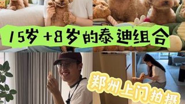 郑州最近的天气真是太闷热了
如果恰巧您家有年纪比较大的狗狗
想给它们安排一组宠物摄影写真
但是可能它