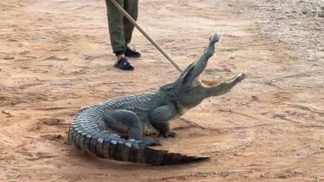 #非专业人士请勿模仿 我站在烈烈风中问天下谁是英雄