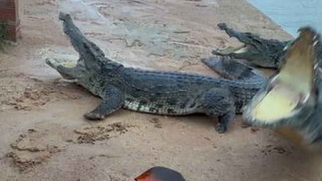 总有老六想搞偷袭#非专业人士请勿模仿