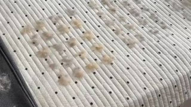最后一个简直是除毛神器？ #除毛器 #玩个很新的东西