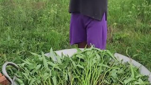 东南亚大叔 #东南亚美食 #东南亚大叔