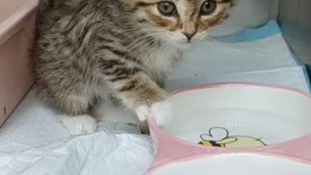 #那就好好告个别吧 
晚安来生没有病痛不会饿肚子 吃好多好多罐头 是个喜欢枕胳膊的宝宝呀……