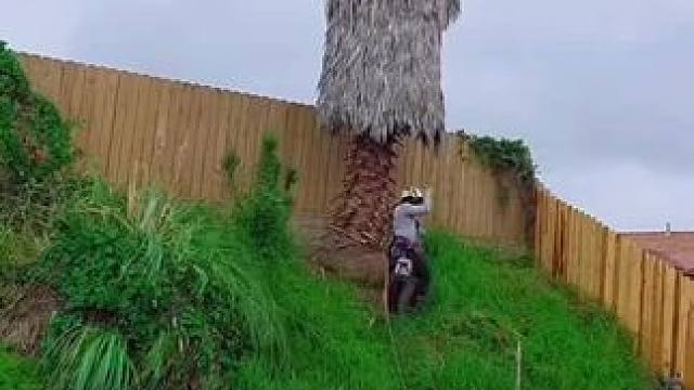 我发布了一个新视频，快来围观吧！