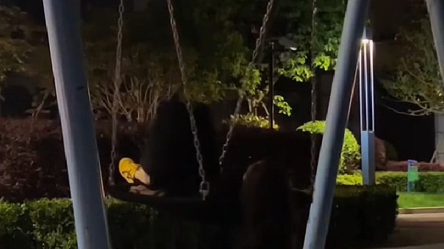 好想有一个人能看到我的脆弱