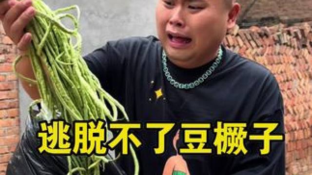 又到了顿顿吃豆橛子的季节了#豆橛子 #山东豆橛子 #山东生活日记