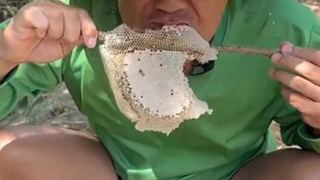 刚摘的新鲜蜂巢蜜 #美食 #户外美食 #泰国美食 #内容启发搜索