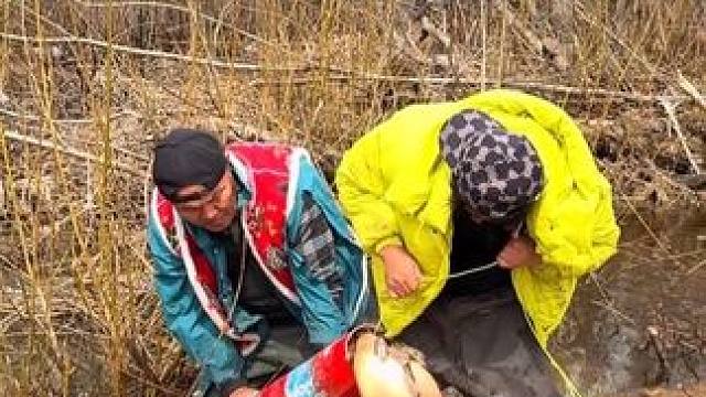 #三农 #我的乡村生活