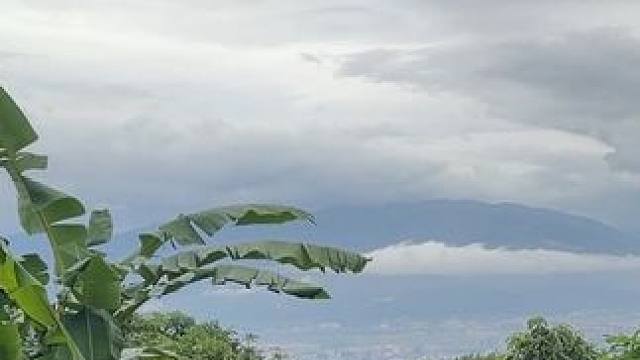 #山野自然 #天然氧吧