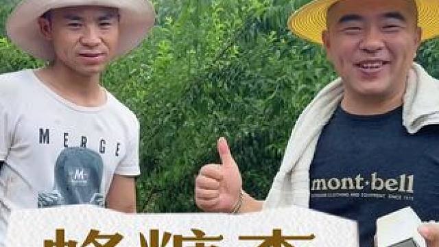 #李子 #蜂糖李#六马蜂糖李#优质农产品 ，6月20号贵州六马蜂糖李第十年开始少量采果了