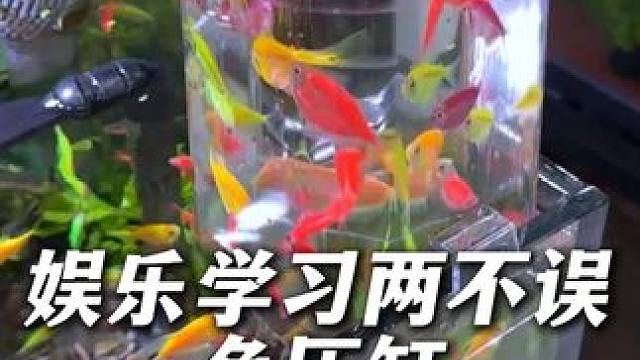 这个负压缸不但能让孩子们学到物理知识，还能当鱼儿的临时餐厅。 #负压缸 #负压鱼缸 #水族用品 #鱼