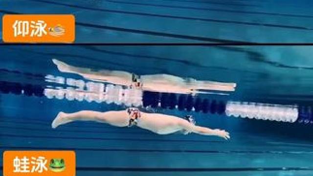 四种游泳姿势你喜欢哪一种⁉️最美蝶泳，最快自由泳没有争议吧！ #游泳 #蝶泳 #自由泳 #蛙泳 #仰