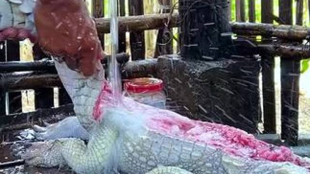 我发布了一个新视频，快来围观吧！