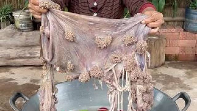 我发布了一个新视频，快来围观吧！