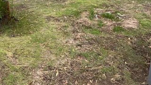 黄金赛罗奥特曼好像遇到麻烦#儿童玩具 #奥特曼玩具 #奥特曼 #赛罗奥特曼