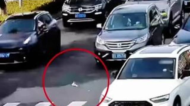 小奶猫被困车流中，交警暖心救助！