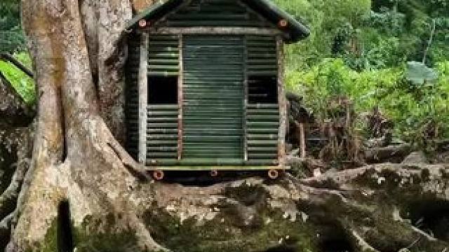 #野外生存 #荒野求生 #野外建造 #荒野生存