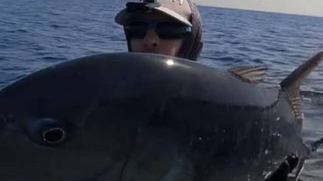 海钓大GT #国外视频分享 #好大一条鱼 #钓鱼