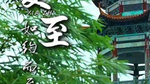 时夏方长 盛暑将至 夏至，愿所有美好如约而至！
#夏至 #二十四节气 #养在九峰山