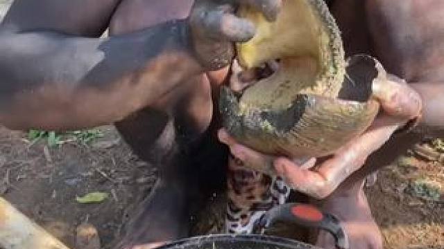 嘟嘟来了 #原创视频 #雪中情萨克斯独奏 #成人学唱歌 #荒岛求生 #乡村新农人