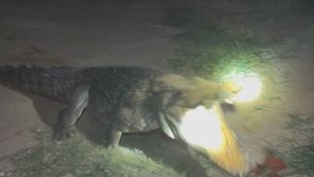 #非专业人士请勿模仿 大家是不是都在熬