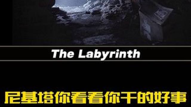 尼基塔你看看你干的好事 #逃离塔科夫 #游戏日常 #逃离塔科夫劝退之旅 #游戏精彩时刻